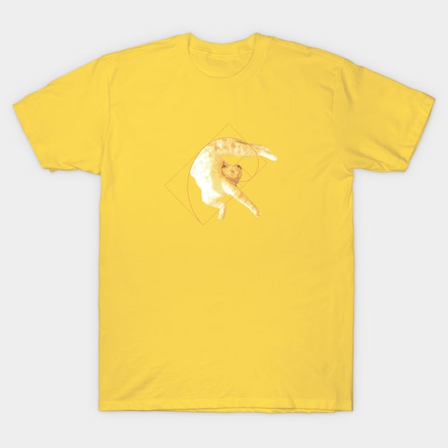 Golden Ratio Cat T-Shirt by Teenugs